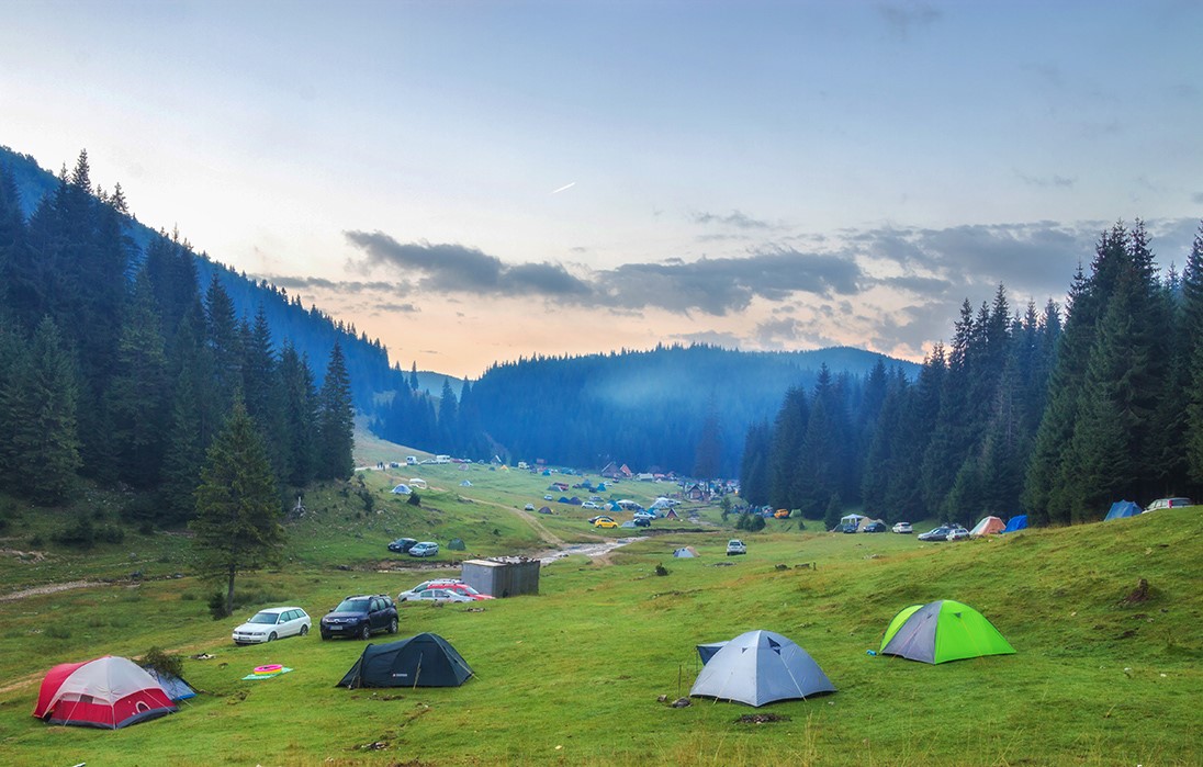 Dimineata-in-Glavoi-logo