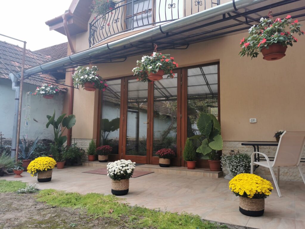 WhatsApp Image 2021-10-08 at 16.52.19