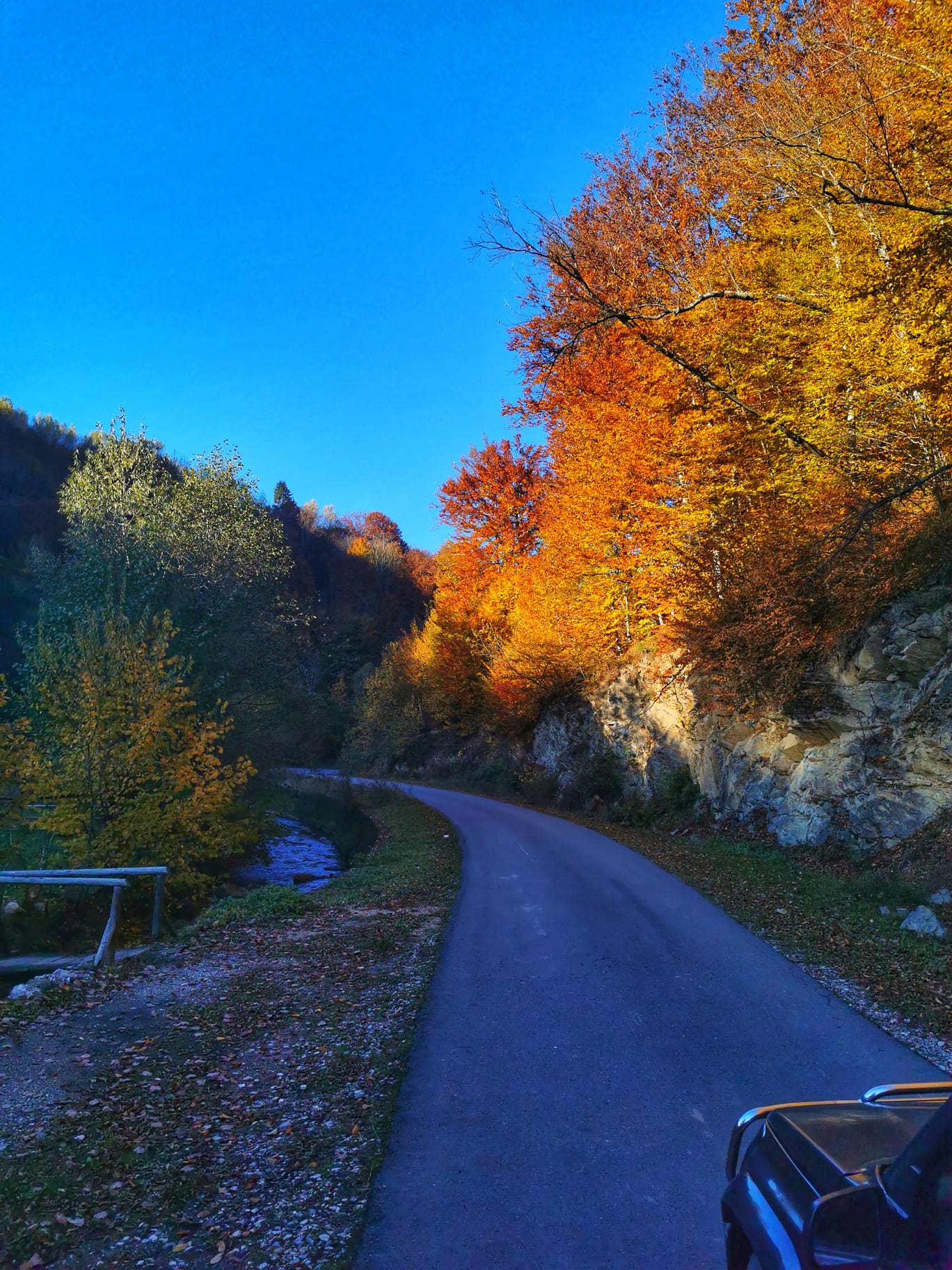 WhatsApp Image 2021-10-12 at 3.43.52 PM